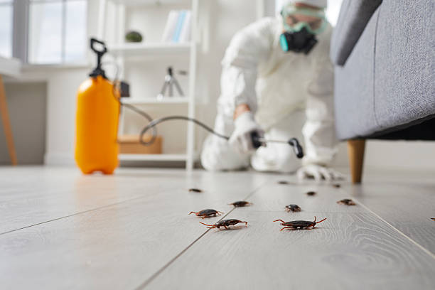 Trusted Fumigation Services service in Lanai City, HI - Nex Pest Control