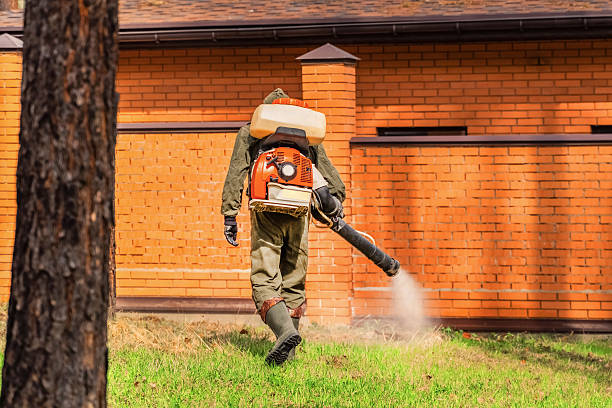 Trusted Ant Control service in Lanai City, HI - Nex Pest Control